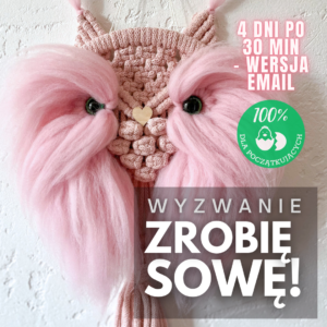 Wyzwanie ZROBIĘ SOWĘ!