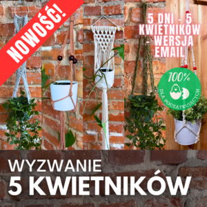 5 Kwietników - makramowe wyzwanie