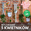 Wyzwanie 5 Kwietników